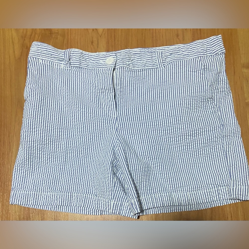 Blue Striped Women's Shorts